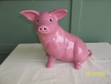 Wonderful cute large for sale  Louisville