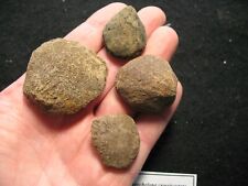 Pleistocene ice age d'occasion  Expédié en Belgium
