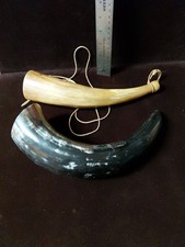 Polished cow horn for sale  Pollock