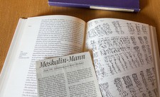 Meskalin henri michaux gebraucht kaufen  Mansfeld