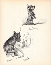 Lucy dawson scottish for sale  Harborton