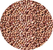 Wild bird peanuts for sale  LEIGHTON BUZZARD