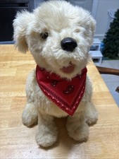 Joy golden retriever for sale  Mohnton