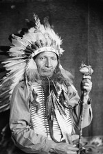 Chief red horn for sale  Wichita