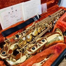 Yanagisawa 500 alto d'occasion  Expédié en Belgium