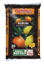 Terriccio per agrumi usato  Roma