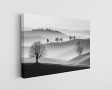 Black white canvas for sale  Houston