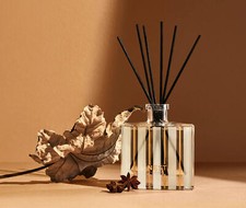 Nest fragrances pumpkin for sale  Greenvale