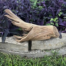 Natural driftwood root for sale  Princeton