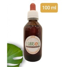Erboristeria girasoli ippocast usato  Lucca