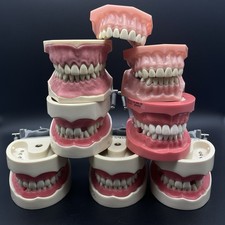Lot dental typodont for sale  Seattle