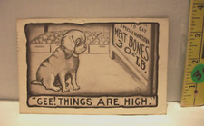 bones meat dogs for sale bones meat dogs for sale Byers
