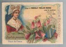 Chromo chocolat poulain d'occasion  Alzonne