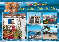Animaux chats saint d'occasion  Fruges