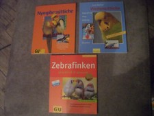 Zebrafinken wellensittiche nym gebraucht kaufen  Amt Wachsenburg, Elxleben