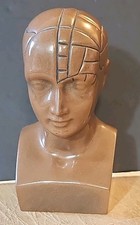 Paxipam vintage phrenology for sale  Manton