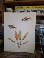 Vintage old aquarium for sale  Phoenix