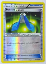 Mantello gigante 114 usato  Venezia