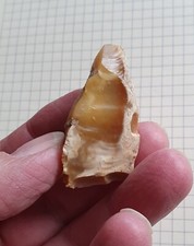 Stichel ... jung gebraucht kaufen  Eisenberg