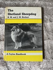 Shetland sheepdog for sale  ABERGELE