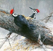 Robert bateman woodworkers for sale  Milwaukee
