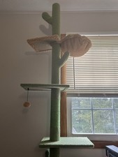 cat tree large cats for sale cat tree large cats for sale Wadsworth