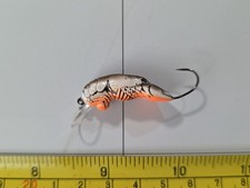 crawfish for sale crawfish for sale Rockledge