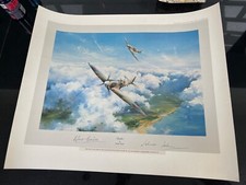 Spitfire robert taylor for sale  UK