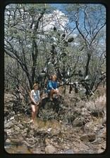 1960 original slide for sale  Ventura