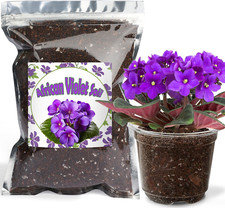 Organic african violet for sale  Gainesville