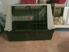 cuccia cani salerno usato cuccia cani salerno usato Fagare