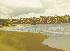 Paula crane edges for sale  Aurora