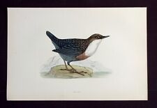 Dipper original antique for sale  ILKLEY