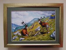 Loon cartoon deer for sale  YORK