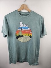 Peanuts character teal for sale  TORRINGTON
