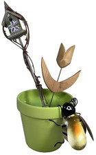 Birdhouse spike tulip for sale  Spring Branch