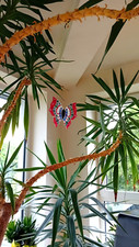 Große glas skulptur gebraucht kaufen  Hennef