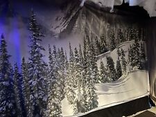 Snow scene backdrop for sale  GRAVESEND