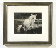 Cat art beautiful for sale  San Diego