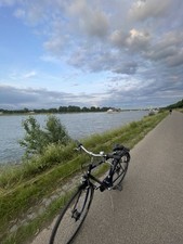 Pegasus fahrrad zoll gebraucht kaufen  Köln
