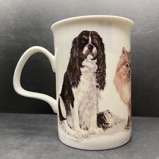 Vintage 2005 roy for sale  NORTHAMPTON