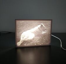 Litofania lampada con usato  Italia