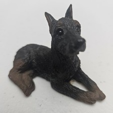 Miniature doberman pinscher for sale  Wyandotte