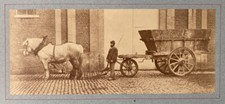 Horse hitch farm. d'occasion  Expédié en Belgium