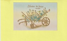 Cpa gaufree oiseaux d'occasion  Draguignan
