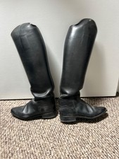 Petrie tall dressage for sale  Lebanon