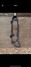 Black cob size for sale  TAUNTON