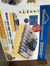 pheasant incubator for sale  ASHFORD