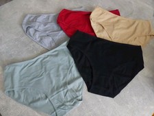 Damen slip 5er gebraucht kaufen  Großenhain