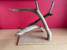 Trio chestnut branches for sale  READING